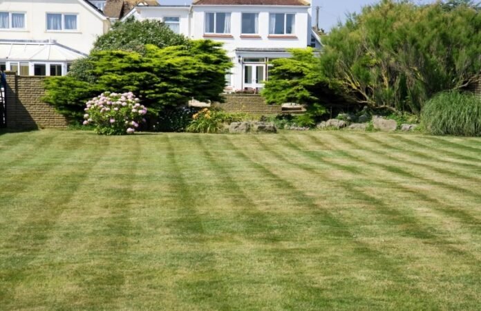 lawn-care-service-near-me-how-to-choose-the-right-lawn-care-service