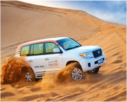 Discover the Exciting Thrills of Desert Safari Dubai Tours