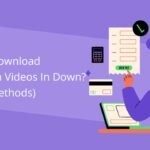 How to Download Instagram Videos In Down (5 Easy Methods)