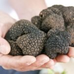 Why Are Truffles So Expensive